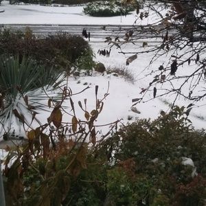 Meet your Posher, Uyai